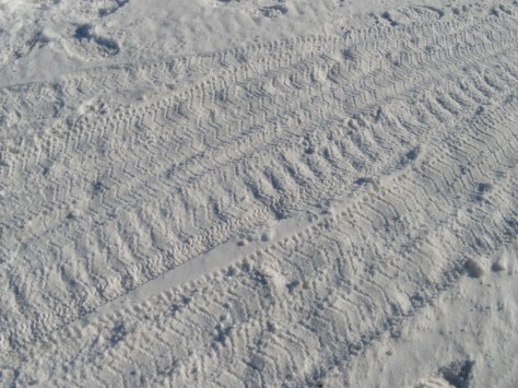 Fat Tire tracks