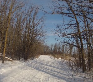 Lake Wpg Ride 3 Feb 13 - 4