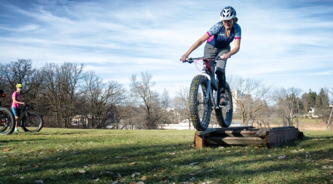 A Dozen or So gettin ready for Winter