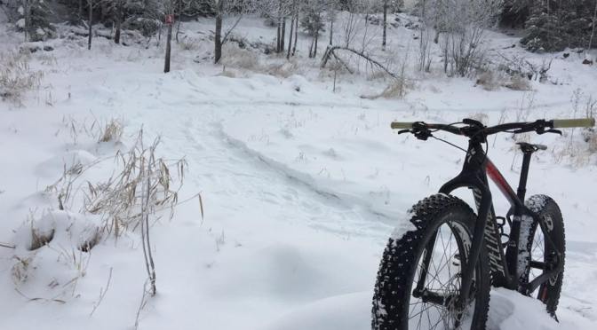 Falcon trails looking great for the 1st MB Fatbike Race Series event