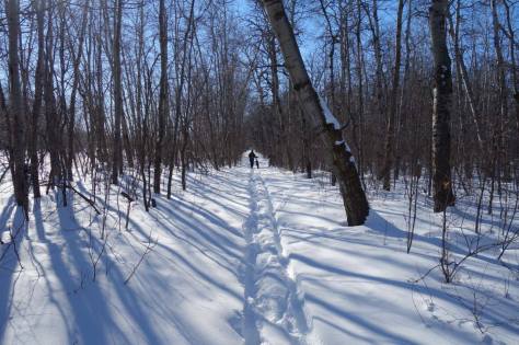 12 Feb 2017 Recon Ride Pic 6