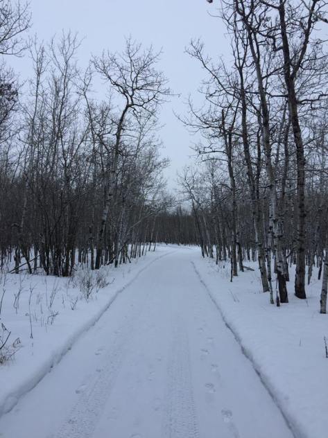 2WR 2017 Fort Whyte FB Race - 1