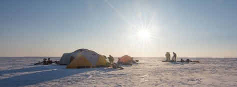 32401695063_a482c663ea_k