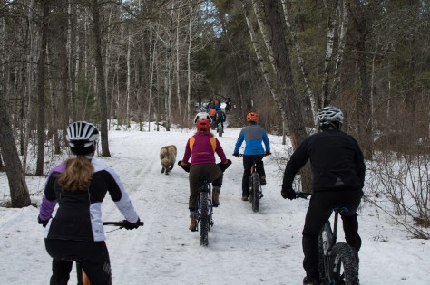 33287617640_e2ebbd8666_k