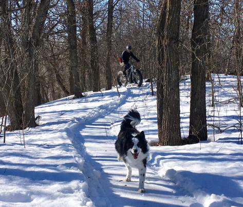 Brandon Hills - 23 Feb 2017 - Marty Roy, Rick Shone &amp; Christa Rusk - 3