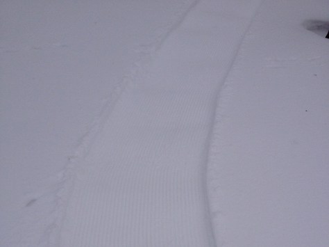 Kevin Braun Manual Groomer - 3