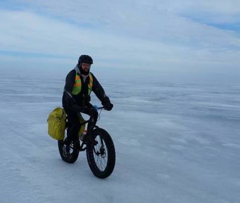 Polar Bear Crossing 2017 - 2