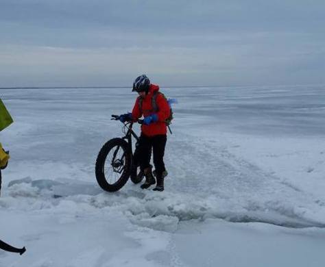 Polar Bear Crossing 2017 - 4