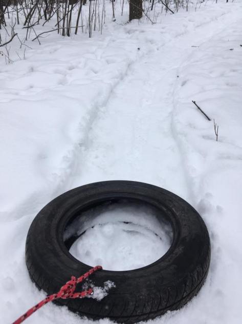 St Norbert Loop Trail - Marty Roy Feb 2017 - 3