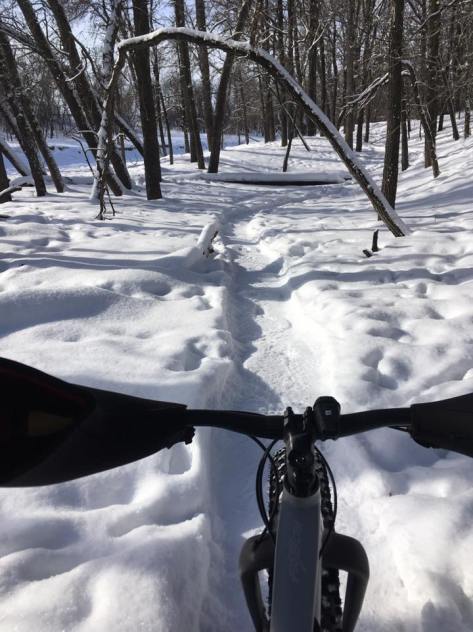 st Norbert Trail Loop - 6 Feb 2017 - Marty Roy - 2