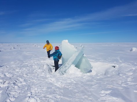 28424321_10155618206699118_1669944269980776631_o