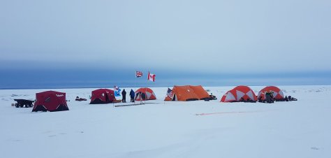 28424789_10155618194389118_5748136809029453011_o