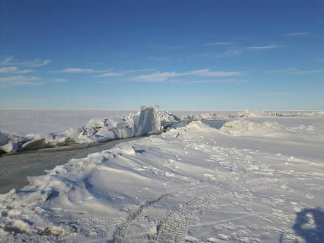 28783672_10156145259951197_4820768179681754324_n